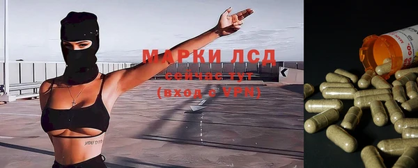 прущие грибы Весьегонск