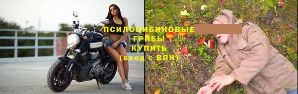 тгк Кодинск