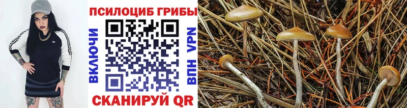 Галлюциногенные грибы мицелий  ссылка на мегу онион  Кораблино 